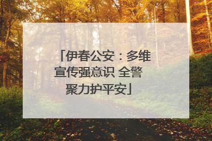 伊春公安：多维宣传强意识 全警聚力护平安