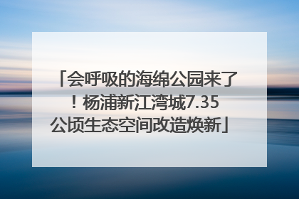 会呼吸的海绵公园来了！杨浦新江湾城7.35公顷生态空间改造焕新
