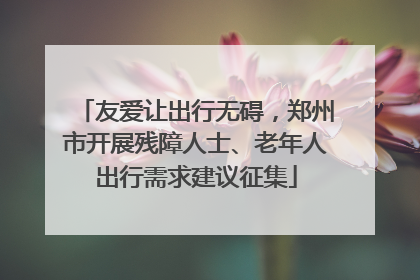 友爱让出行无碍，郑州市开展残障人士、老年人出行需求建议征集
