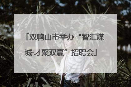 双鸭山市举办“智汇煤城·才聚双赢”招聘会