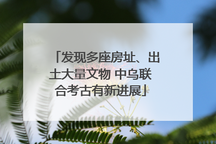 发现多座房址、出土大量文物 中乌联合考古有新进展