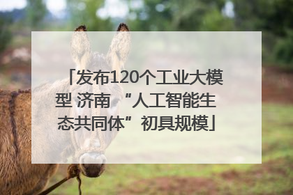发布120个工业大模型 济南 “人工智能生态共同体”初具规模