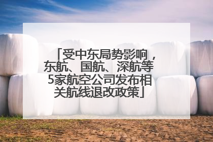 受中东局势影响，东航、国航、深航等5家航空公司发布相关航线退改政策