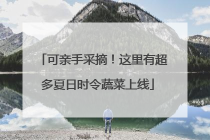 可亲手采摘！这里有超多夏日时令蔬菜上线