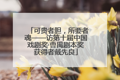 可贵者胆，所要者魂——访第十届中国戏剧奖·曹禺剧本奖获得者戴先良