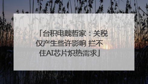 台积电魏哲家：关税仅产生些许影响 拦不住AI芯片炽热需求