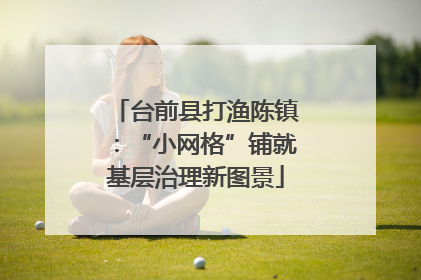 台前县打渔陈镇：“小网格”铺就基层治理新图景