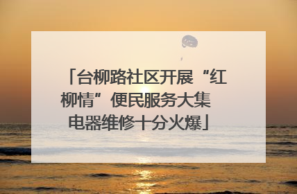 台柳路社区开展“红柳情”便民服务大集 电器维修十分火爆