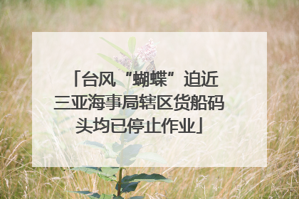 台风“蝴蝶”迫近 三亚海事局辖区货船码头均已停止作业
