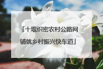 十堰织密农村公路网 铺就乡村振兴快车道