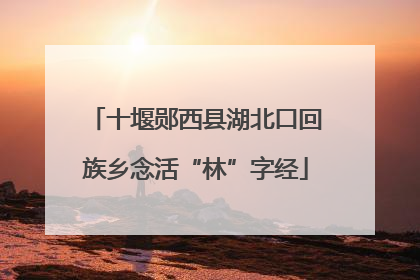 十堰郧西县湖北口回族乡念活“林”字经