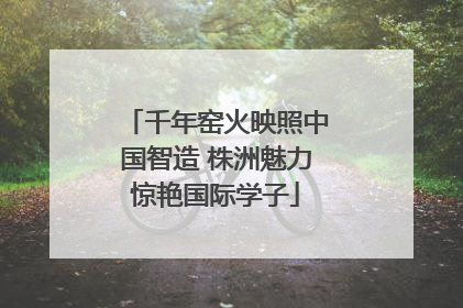 千年窑火映照中国智造 株洲魅力惊艳国际学子