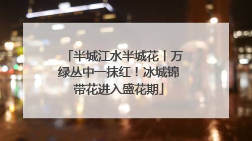 半城江水半城花丨万绿丛中一抹红！冰城锦带花进入盛花期