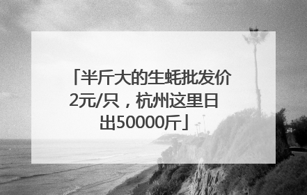半斤大的生蚝批发价2元/只，杭州这里日出50000斤