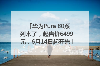 华为Pura 80系列来了，起售价6499元，6月14日起开售