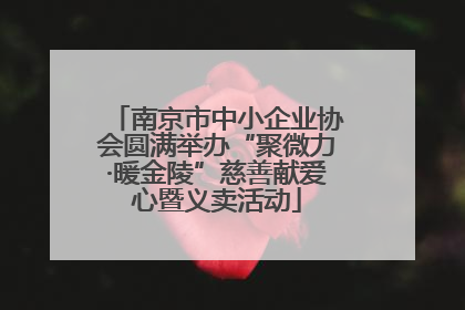 南京市中小企业协会圆满举办“聚微力·暖金陵”慈善献爱心暨义卖活动