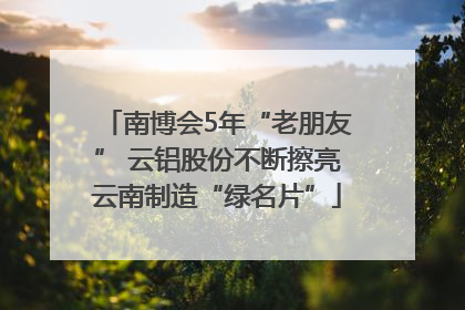 南博会5年“老朋友” 云铝股份不断擦亮云南制造“绿名片”