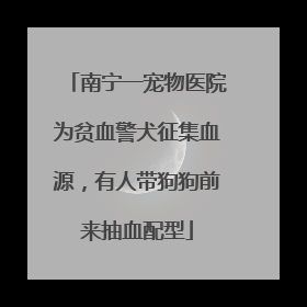 南宁一宠物医院为贫血警犬征集血源，有人带狗狗前来抽血配型