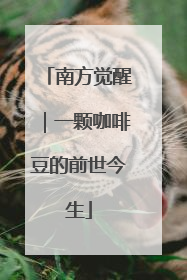 南方觉醒｜一颗咖啡豆的前世今生