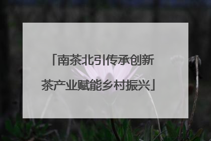 南茶北引传承创新 茶产业赋能乡村振兴