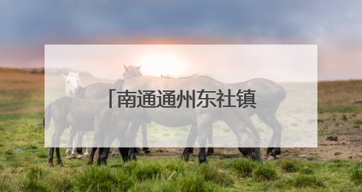 南通通州东社镇：还路于民 向流动摊点说“不”