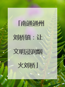 南通通州刘桥镇：让文明浸润烟火刘桥