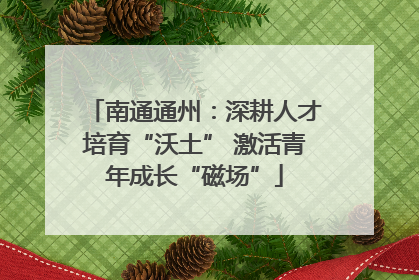 南通通州：深耕人才培育“沃土” 激活青年成长“磁场”