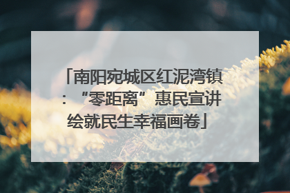 南阳宛城区红泥湾镇：“零距离”惠民宣讲 绘就民生幸福画卷