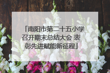南阳市第二十五小学召开期末总结大会 表彰先进赋能新征程