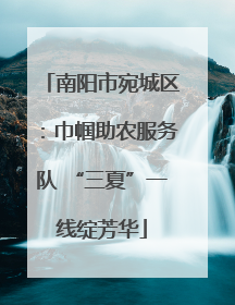 南阳市宛城区：巾帼助农服务队 “三夏”一线绽芳华