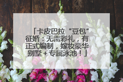 卡皮巴拉“豆包”征婚：无需彩礼，有正式编制，嫁妆豪华别墅＋专属泳池！
