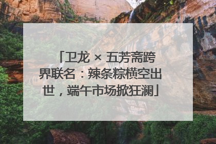卫龙 × 五芳斋跨界联名：辣条粽横空出世，端午市场掀狂澜