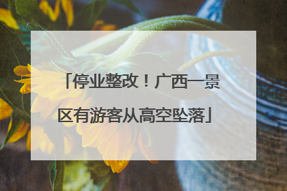 停业整改！广西一景区有游客从高空坠落