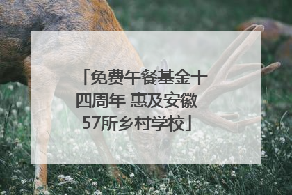 免费午餐基金十四周年 惠及安徽57所乡村学校