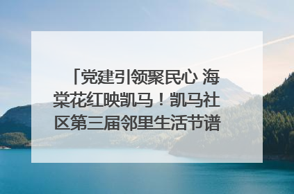 党建引领聚民心 海棠花红映凯马！凯马社区第三届邻里生活节谱写幸福新篇章