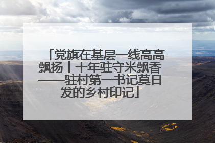 党旗在基层一线高高飘扬丨十年驻守米飘香——驻村第一书记莫日发的乡村印记