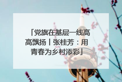 党旗在基层一线高高飘扬丨张桂芳：用青春为乡村添彩