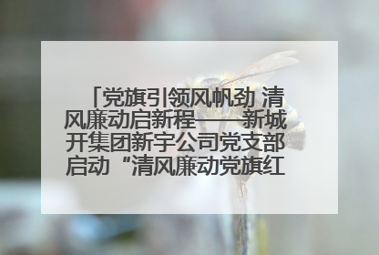 党旗引领风帆劲 清风廉动启新程——新城开集团新宇公司党支部启动“清风廉动党旗红”系列活动