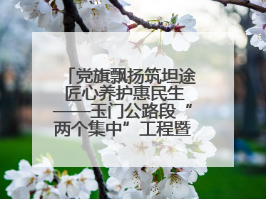 党旗飘扬筑坦途 匠心养护惠民生——玉门公路段“两个集中”工程暨示范桥创建项目圆满收官