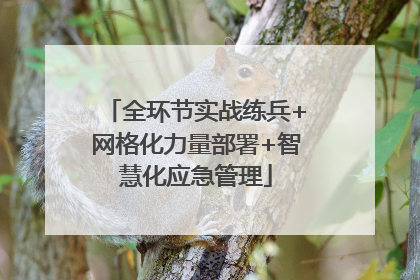 全环节实战练兵+网格化力量部署+智慧化应急管理