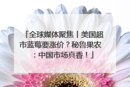 全球媒体聚焦丨美国超市蓝莓要涨价？秘鲁果农：中国市场真香！
