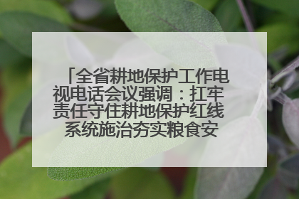 全省耕地保护工作电视电话会议强调：扛牢责任守住耕地保护红线 系统施治夯实粮食安全根基 王宁作出批示 王予波出席并讲话