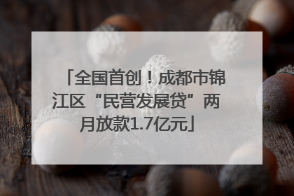 全国首创！成都市锦江区“民营发展贷”两月放款1.7亿元