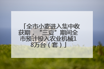 全市小麦进入集中收获期，“三夏”期间全市预计投入农业机械18万台（套）
