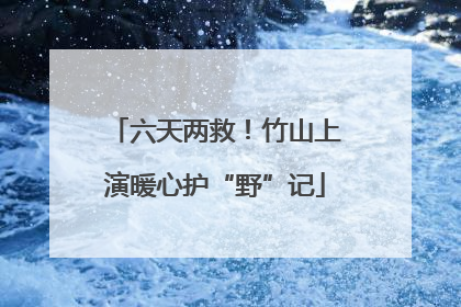 六天两救！竹山上演暖心护“野”记