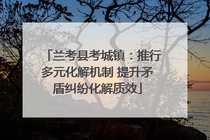 兰考县考城镇：推行多元化解机制 提升矛盾纠纷化解质效