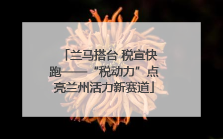 兰马搭台 税宣快跑——“税动力”点亮兰州活力新赛道