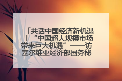共话中国经济新机遇丨“中国超大规模市场带来巨大机遇”——访塞尔维亚经济部国务秘书尼科利奇