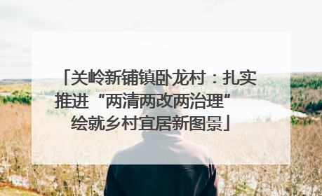 关岭新铺镇卧龙村：扎实推进“两清两改两治理” 绘就乡村宜居新图景