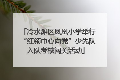 冷水滩区凤凰小学举行“红领巾心向党”少先队入队考核闯关活动